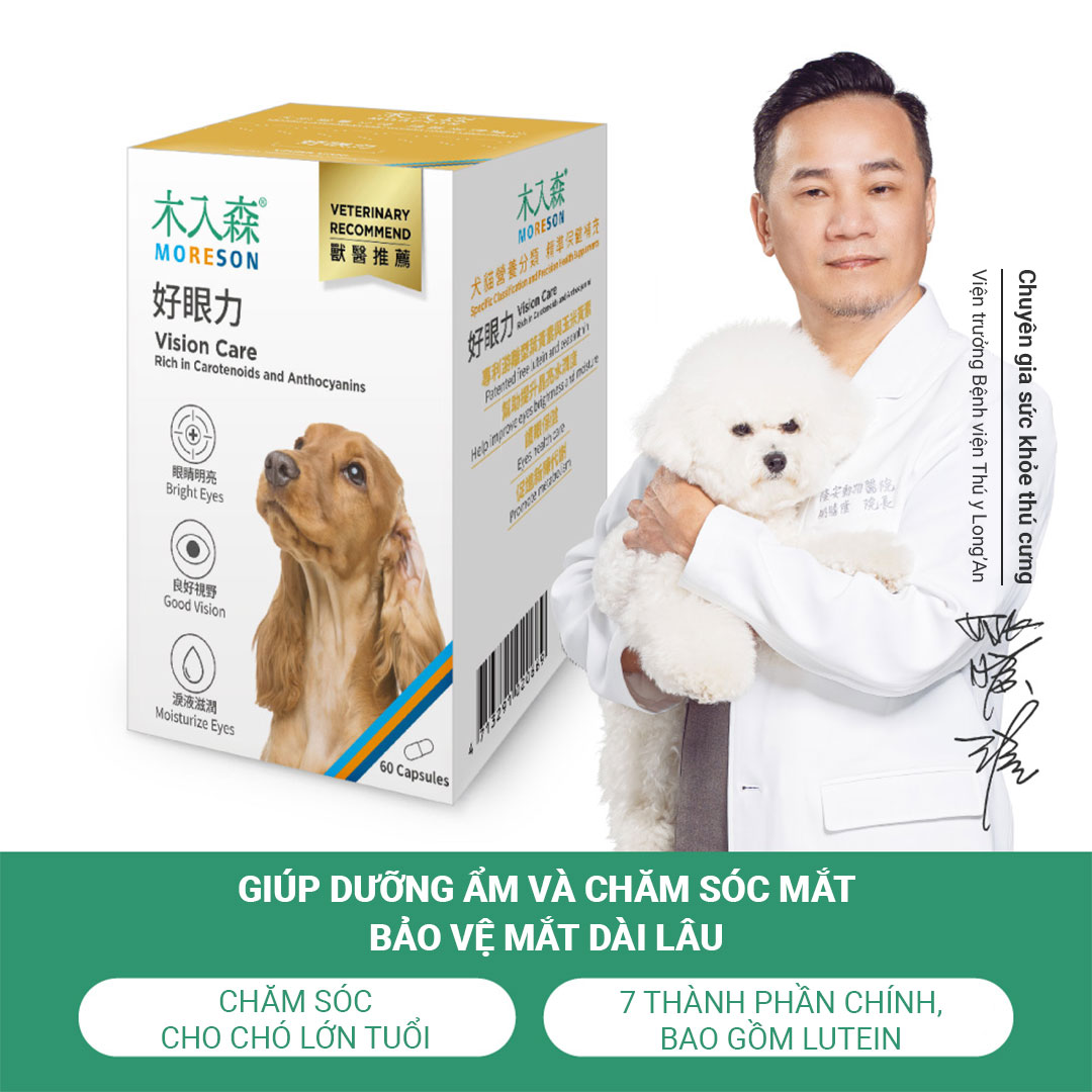 Tăng Cường Thị Lực - Ảnh 3