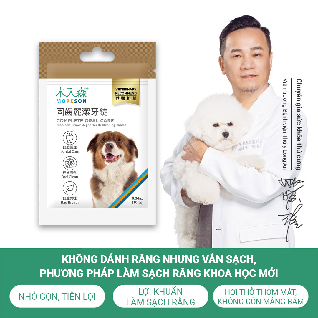 Viên Chăm Sóc Răng Miệng Toàn Diện - Ảnh 3
