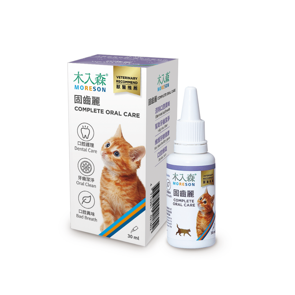 Chăm Sóc Răng Miệng Toàn Diện