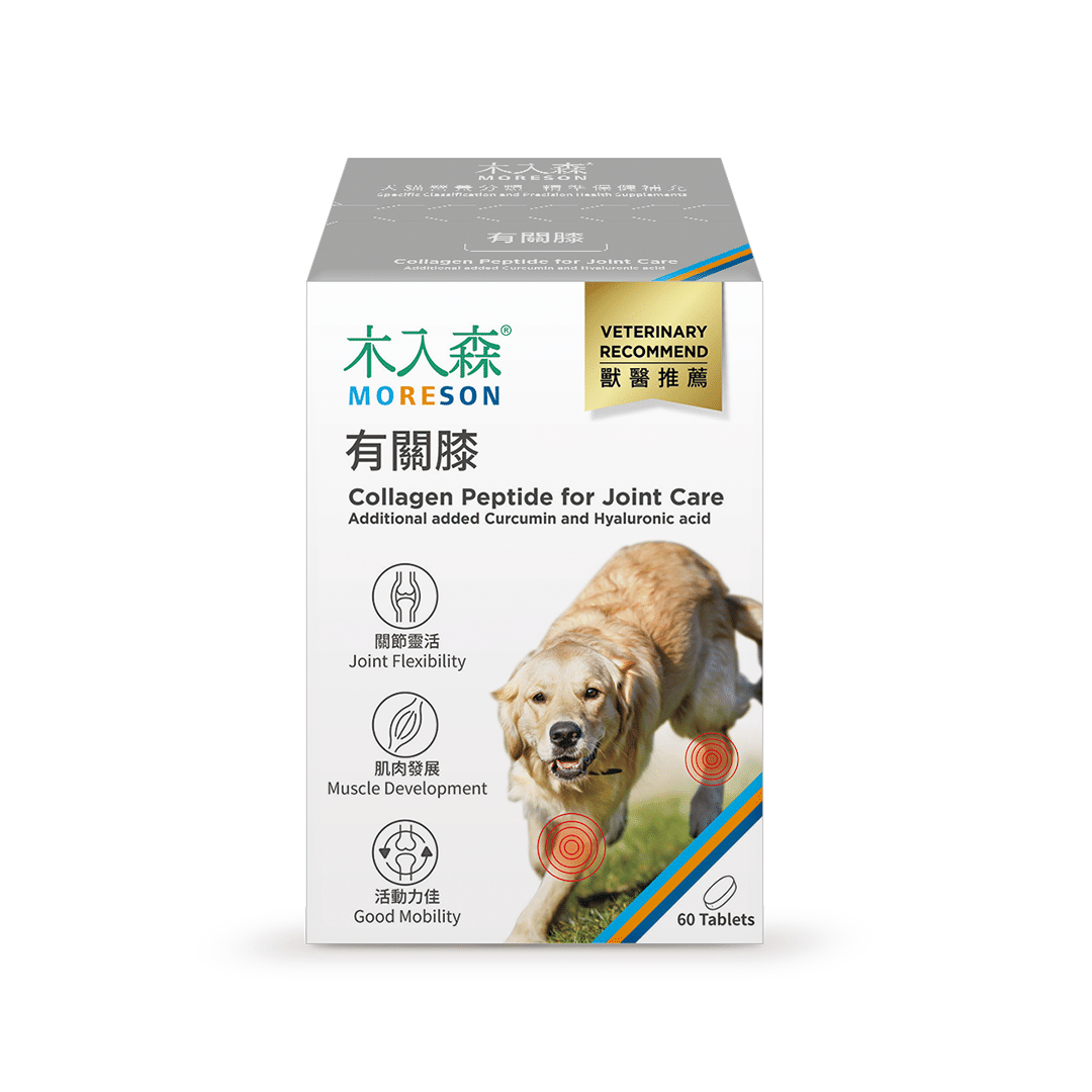 Collagen Peptide Hỗ Trợ Xương Khớp