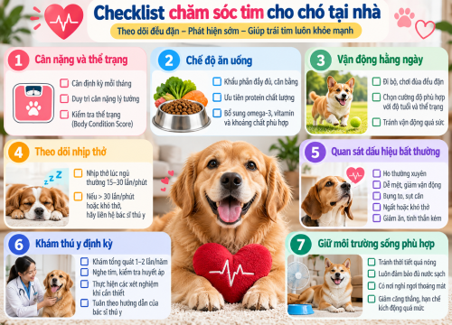 Checklist chăm sóc tim cho chó tại nhà