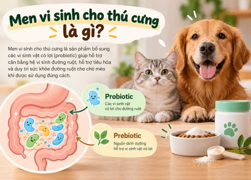Men vi sinh cho thú cưng là gì?